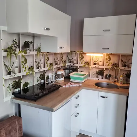 Kwatera prywatna Zachodni Brzeg