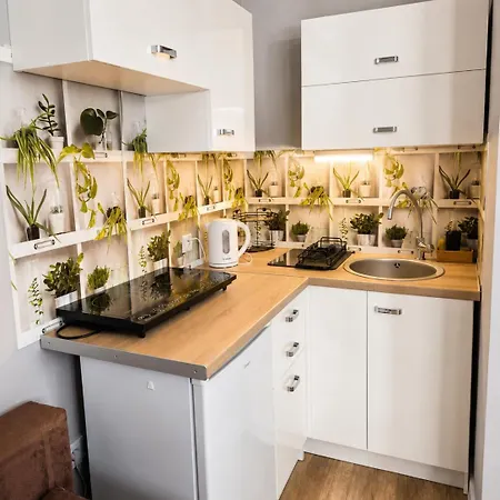 Zachodni Brzeg Quarto em Acomodações Particulares *