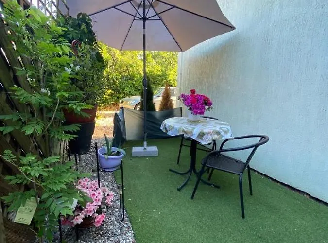 Zachodni Brzeg * 米兹多洛杰